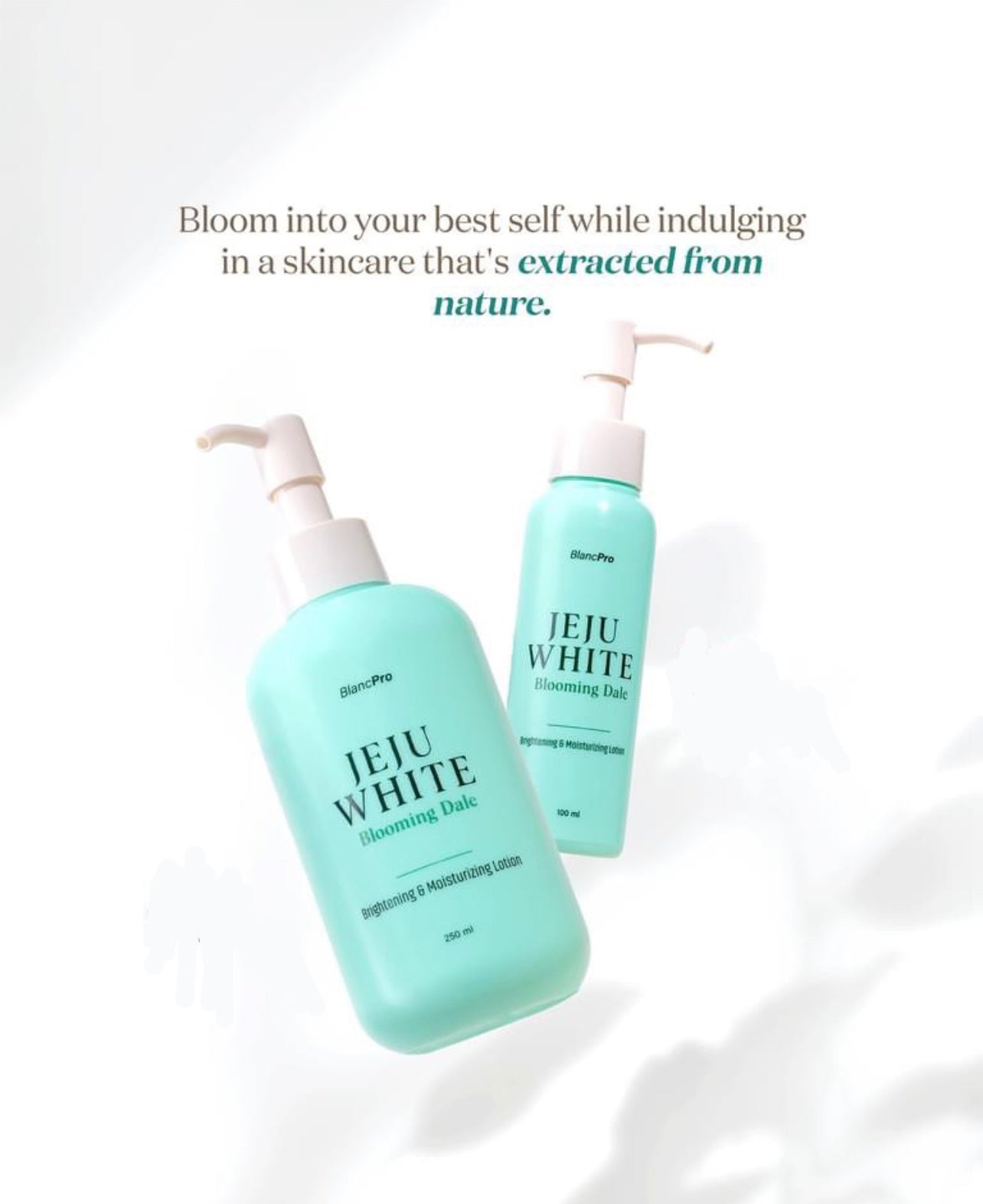 BlancPRO Jeju White Brightening and Moisturizing Lotion (Blooming Dale) 100ml or 250ml